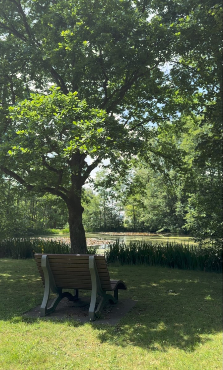 Bank unter einem Baum am Teich im Freizeitgelände Finkelkarst