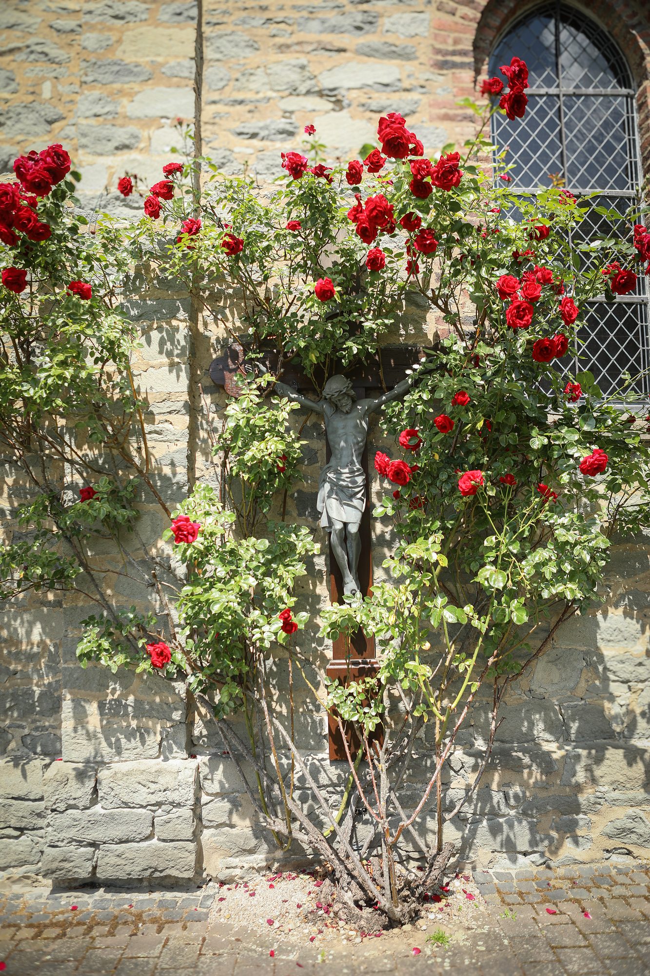 Das Wegkreuz an der Seitenwand der Kapelle Goldhausen, umrankt von roten Rosen
