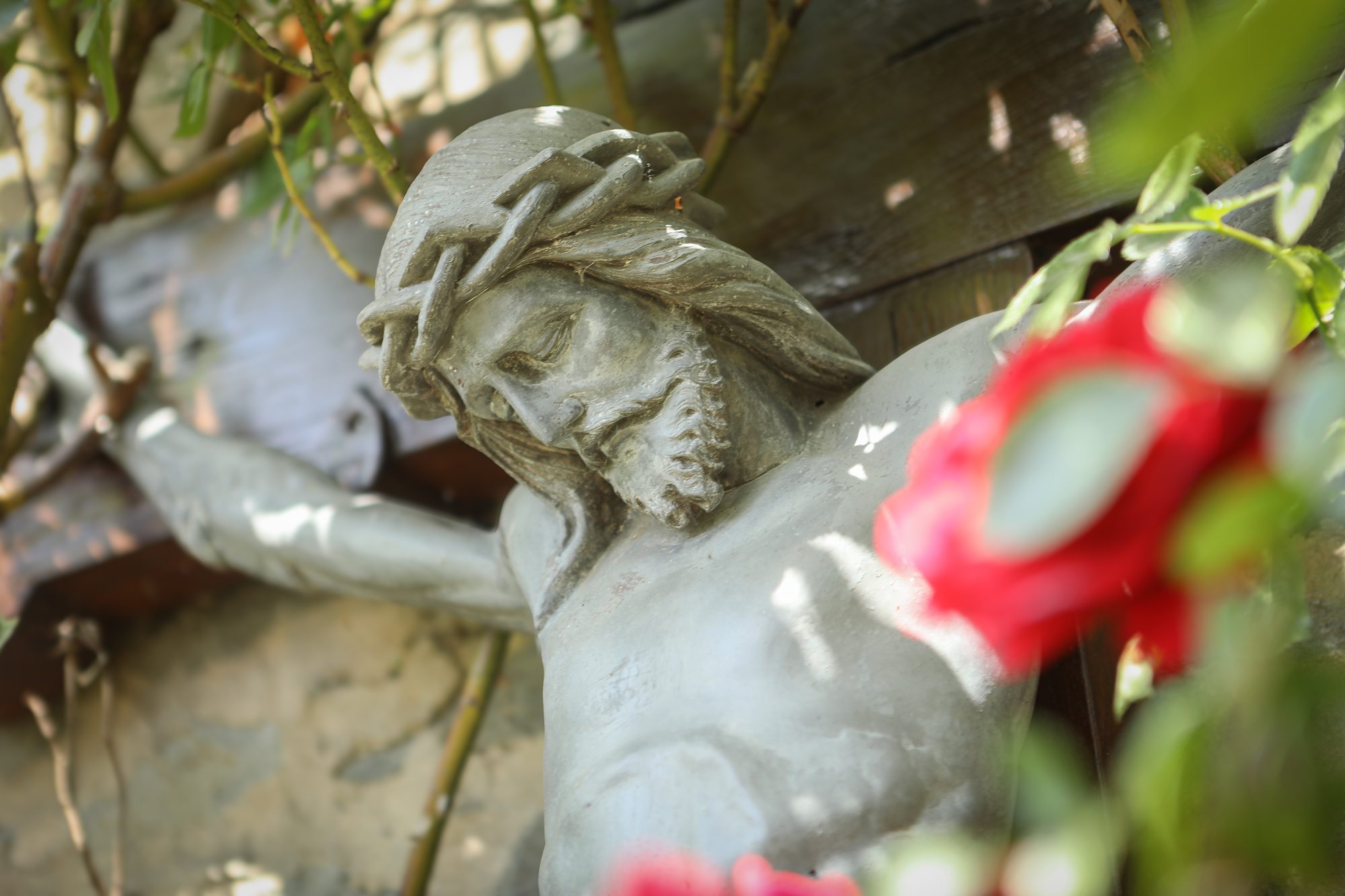 Das Wegkreuz an der Kapelle, umrankt von Rosen